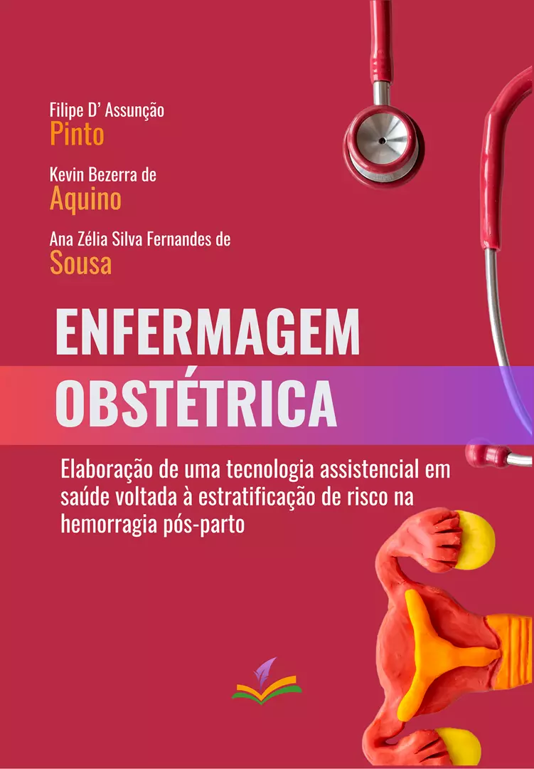 ENFERMAGEM OBSTÉTRICA: elaboração de uma tecnologia assistencial em saúde voltada à estratificação de risco na hemorragia pós-parto